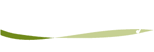 North Sky Logo